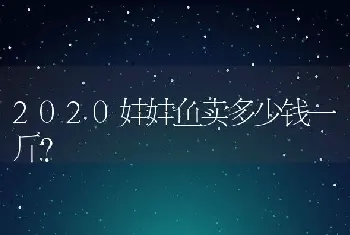 2020娃娃鱼卖多少钱一斤？