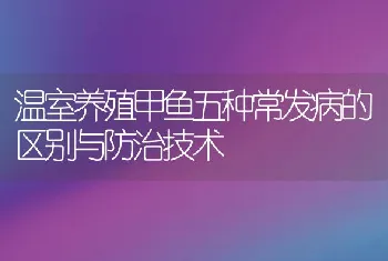 温室养殖甲鱼五种常发病的区别与防治技术