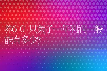 养60只兔子一年利润一般能有多少？