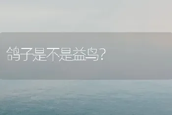 鸽子是不是益鸟？