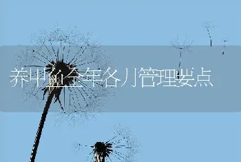 养甲鱼全年各月管理要点