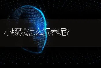 狗狗干咳，多长时间咳出一些白色泡沫一样的痰，是什么病?如何治疗和预防？