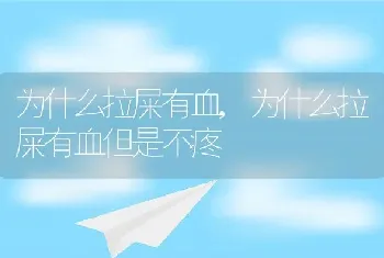 为什么拉屎有血，为什么拉屎有血但是不疼