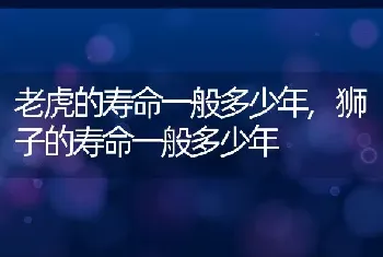 老虎的寿命一般多少年，狮子的寿命一般多少年