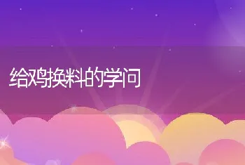 给鸡换料的学问