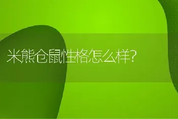 米熊仓鼠性格怎么样？