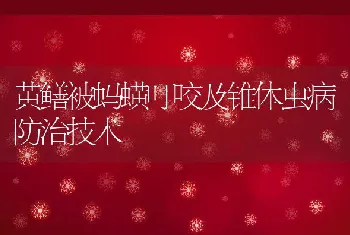 黄鳝被蚂蟥叮咬及锥体虫病防治技术