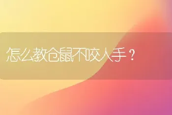 怎么教仓鼠不咬人手？