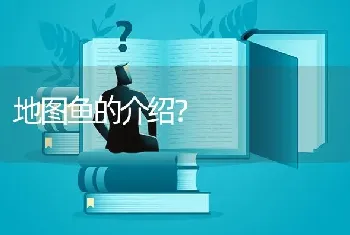 地图鱼的介绍？