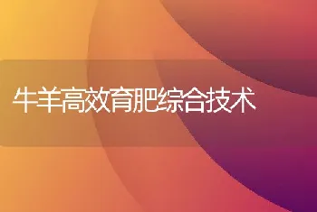 网箱养鳝 秋冬防控不能松