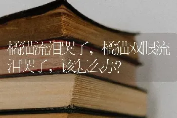 橘猫流泪哭了，橘猫双眼流泪哭了，该怎么办？