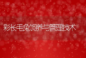 六招防甲鱼冬眠死亡