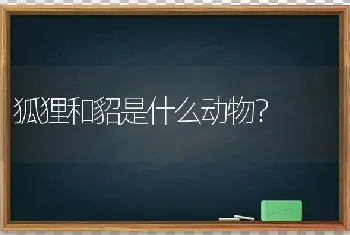 狐狸和貂是什么动物？