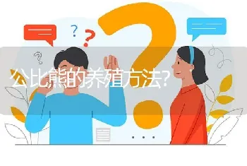 公比熊的养殖方法？