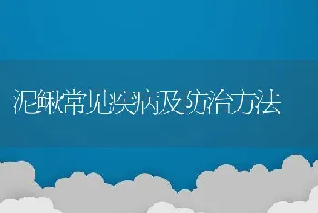 泥鳅常见疾病及防治方法