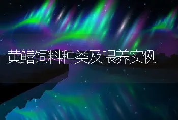 黄鳝饲料种类及喂养实例