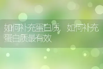 如何补充蛋白质，如何补充蛋白质最有效