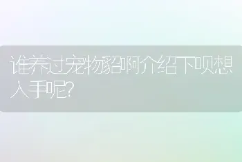 谁养过宠物貂啊介绍下呗想入手呢？