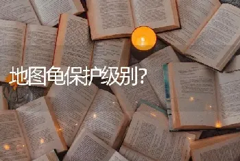 地图龟保护级别？