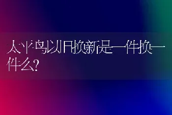 太平鸟以旧换新是一件换一件么？