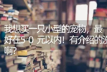 我想买一只小型的宠物，最好在50元以内！有介绍的没啊？