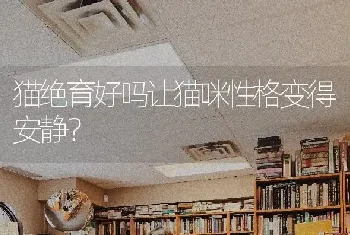 猫绝育好吗让猫咪性格变得安静？