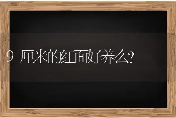 9厘米的红面好养么？