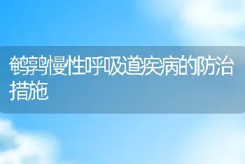 鹌鹑慢性呼吸道疾病的防治措施