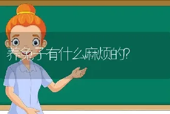 养兔子有什么麻烦的？