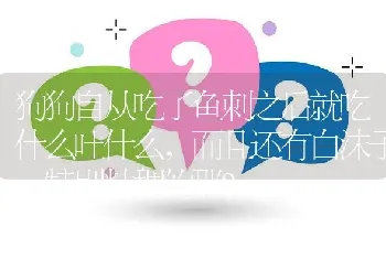 狗狗自从吃了鱼刺之后就吃什么吐什么，而且还有白沫子，特别粘稠的那？