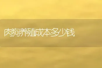 肉狗养殖成本多少钱