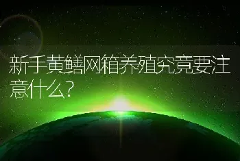 新手黄鳝网箱养殖究竟要注意什么？