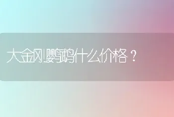 大金刚鹦鹉什么价格？