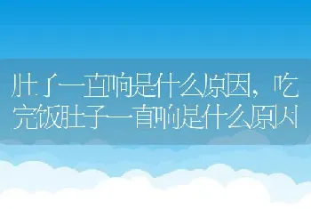 肚子一直响是什么原因，吃完饭肚子一直响是什么原因