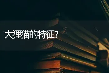 大狸猫的特征？