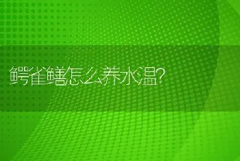 鳄雀鳝怎么养水温？