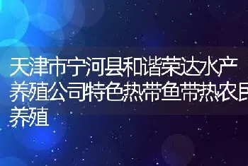 天津市宁河县和谐荣达水产养殖公司特色热带鱼带热农民养殖