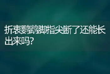 折衷鹦鹉脚指尖断了还能长出来吗？