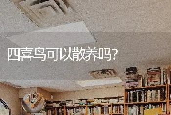 四喜鸟可以散养吗？