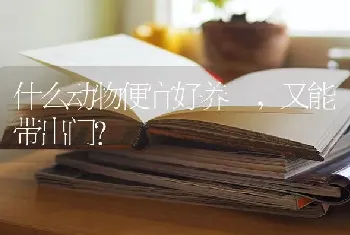 什么动物便宜好养 ，又能带出门？