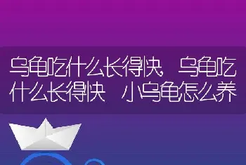 乌龟吃什么长得快，乌龟吃什么长得快 小乌龟怎么养