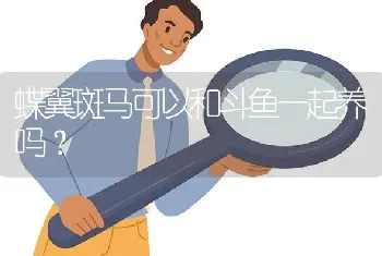 为什么摸仓鼠的屁屁会一直吱吱叫？