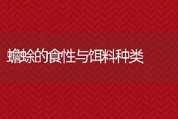 蟾蜍的食性与饵料种类