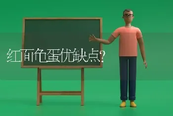 红面龟蛋优缺点？