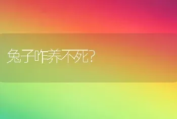 兔子咋养不死？