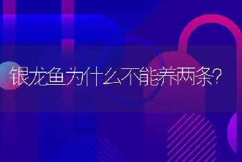 为什么小米手机出厂设置一直卡在一个兔子界面？