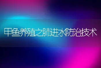 甲鱼养殖之肺进水防治技术