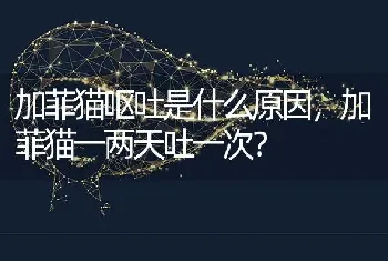 加菲猫呕吐是什么原因，加菲猫一两天吐一次？