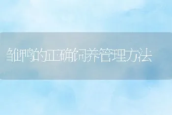 浙江兰溪市养殖户虾鱼混养新模式再创养殖高效益