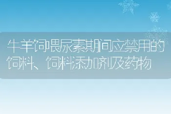 牛羊饲喂尿素期间应禁用的饲料、饲料添加剂及药物